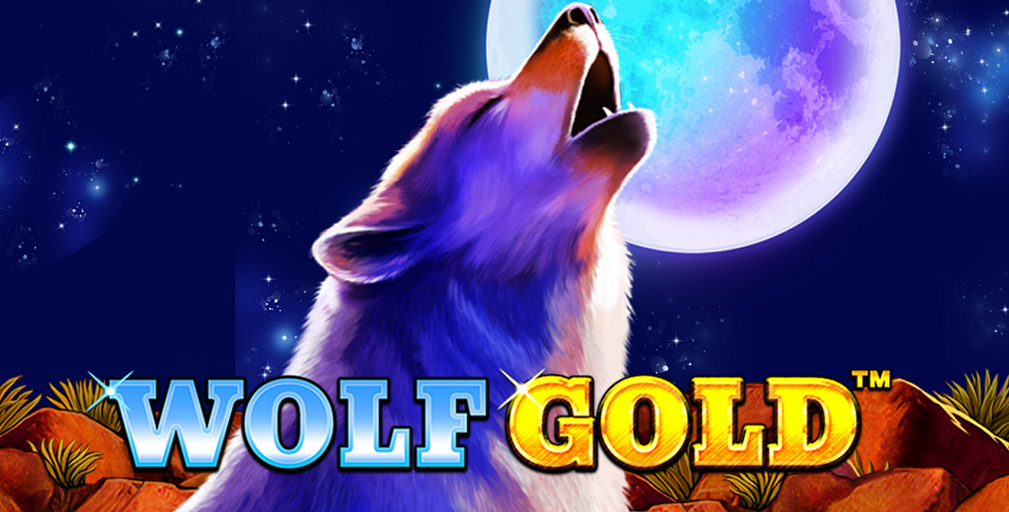 Wolf Gold at TikiTaka